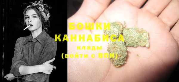 хмурый Лиски