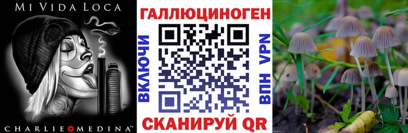 Псилоцибиновые грибы Psilocybe  Оренбург 